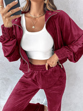 Load image into Gallery viewer, Zip Up Long Sleeve Cropped Top and Joggers Set