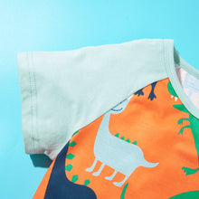 Load image into Gallery viewer, Boys Dinosaur Print Raglan Sleeve T-Shirt and Shorts Set